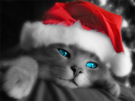 buon natale